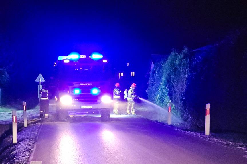 Pożar tui przy ogrodzeniu