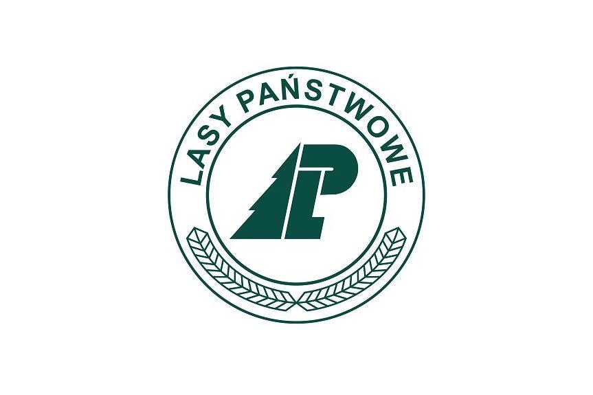 Kupimy Twój las - ceny rynkowe