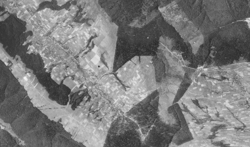 Geoportal na mapie - historia lasów w Bieszczadach i Beskidzie Niskim, i na Pogórzu