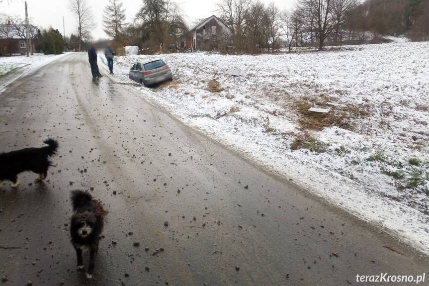 Dachowanie seata w Piotrówce