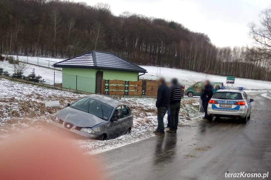 Dachowanie seata w Piotrówce