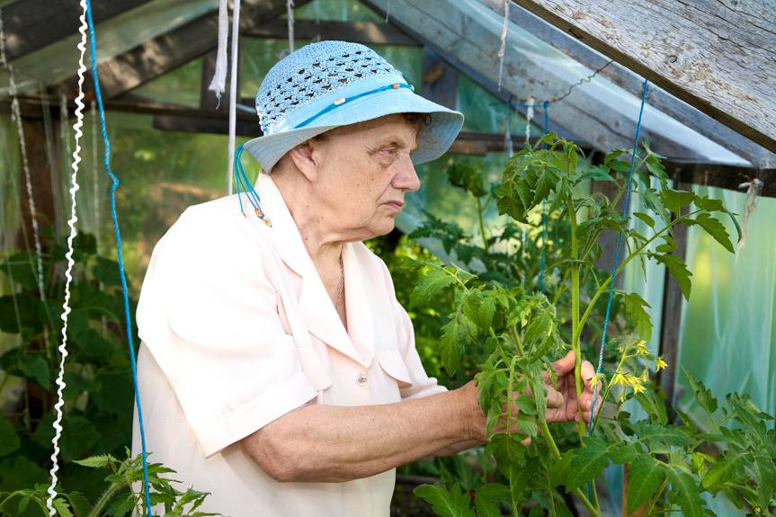 Dotacje dla działkowców