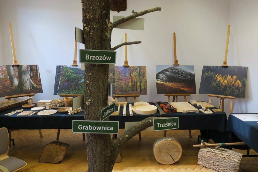 Udana submisja w RDLP w Krośnie