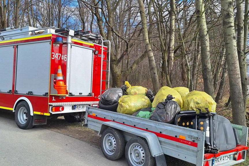 Mieszkańcy Dobieszyna wspólnie dla czystego środowiska