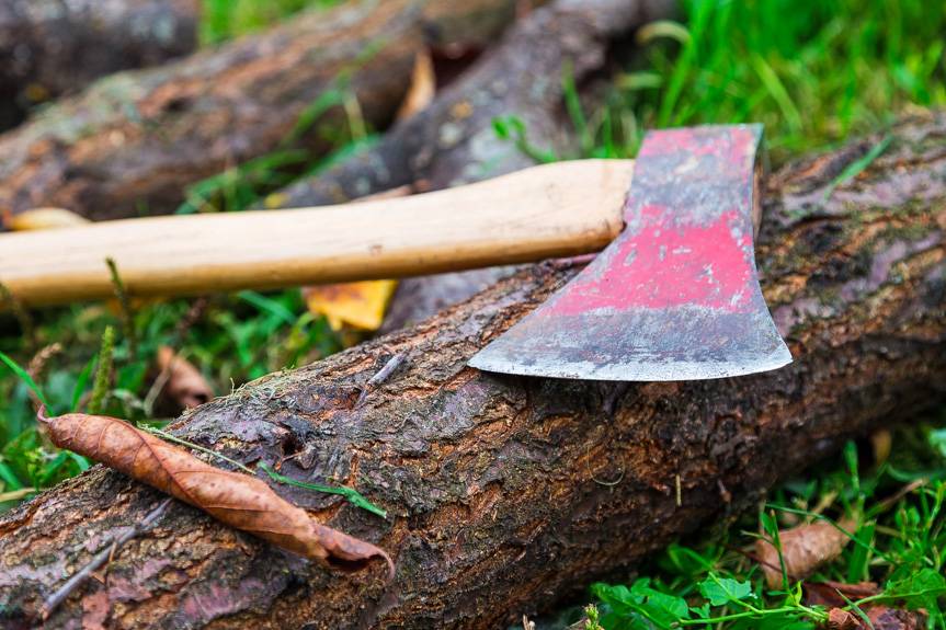 Śmiertelne ciosy siekierą w Łączkach Jagiellońskich. Znamy więcej szczegółów