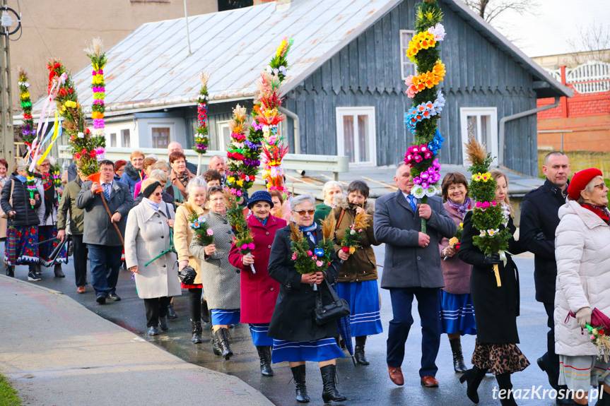 Niedziela palmowa w Rymanowie