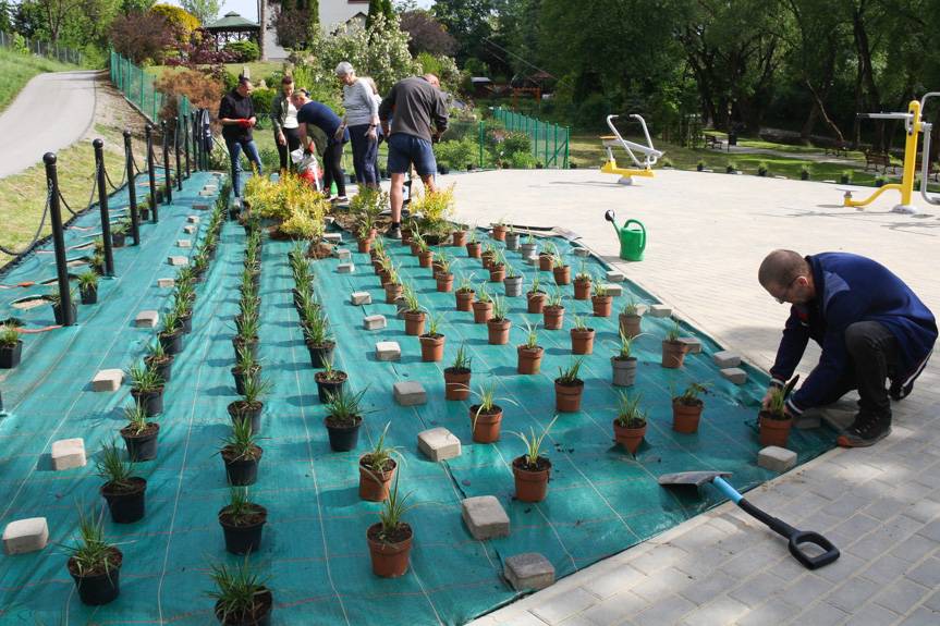 Dukla stawia na zieleń