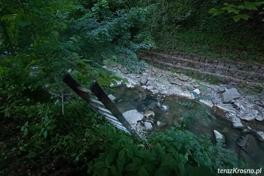 Tragiczna śmierć rowerzysty