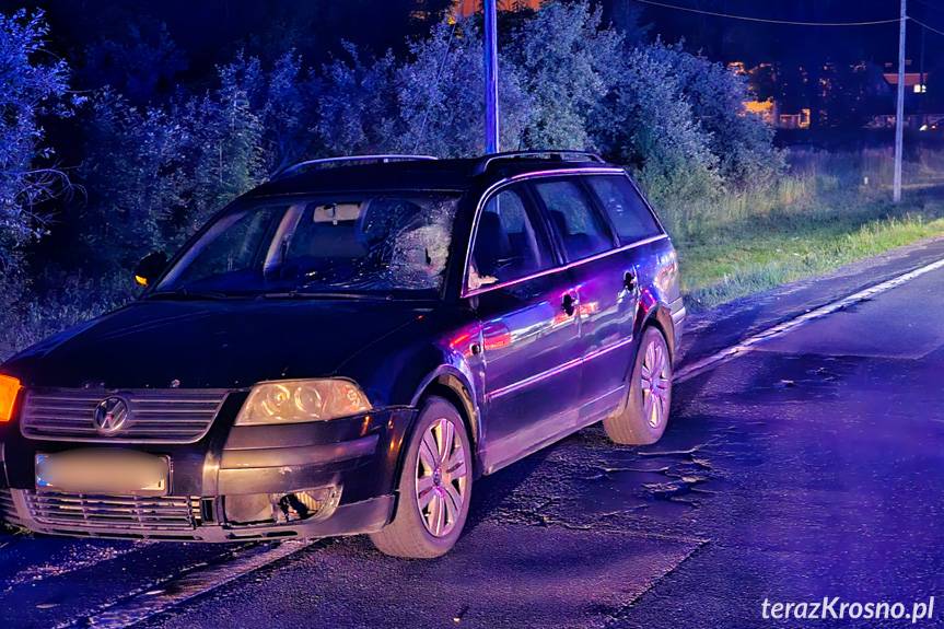 Potrącenie pieszego na DK28