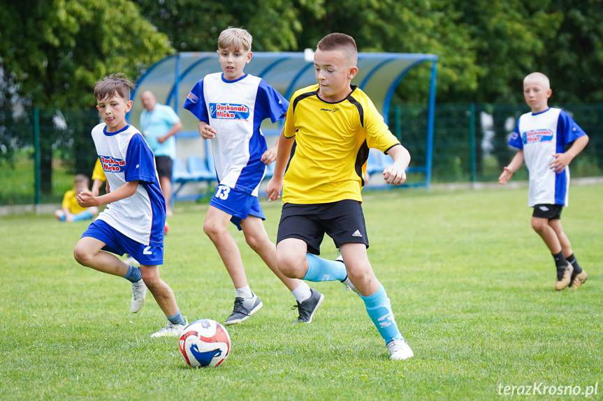 Piłkarskie zmagania najmłodszych: I Turniej Szkół Podstawowych w Krośnie