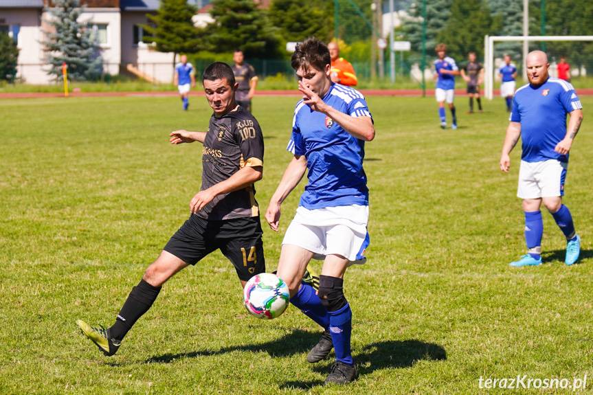 Derby Krosna dla Pasji 