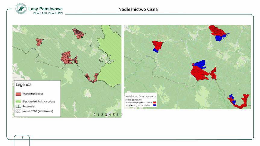 Spór o wycinkę lasów. Jakie są wyniki konsultacji?