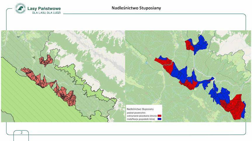 Spór o wycinkę lasów. Jakie są wyniki konsultacji?