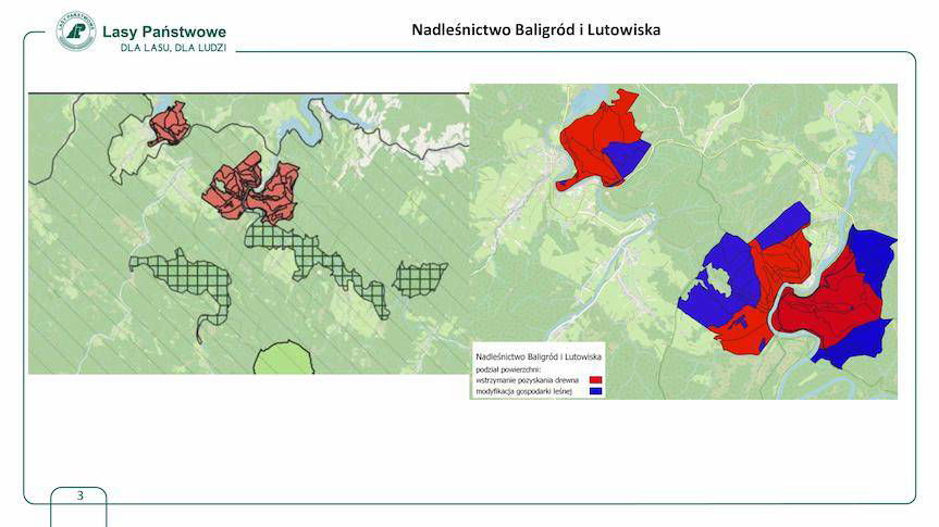Spór o wycinkę lasów. Jakie są wyniki konsultacji?