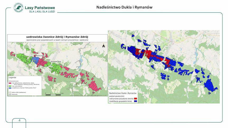 Spór o wycinkę lasów. Jakie są wyniki konsultacji?