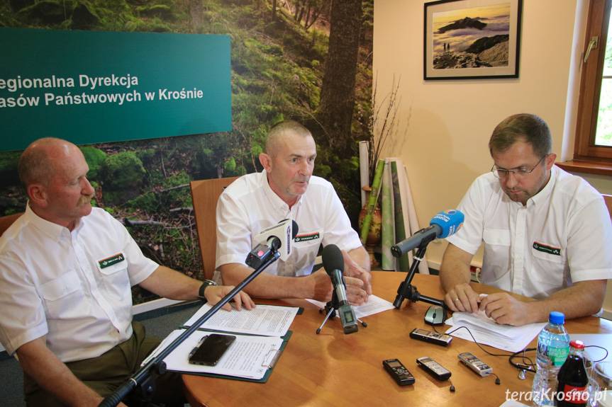 Spór o wycinkę lasów. Jakie są wyniki konsultacji?