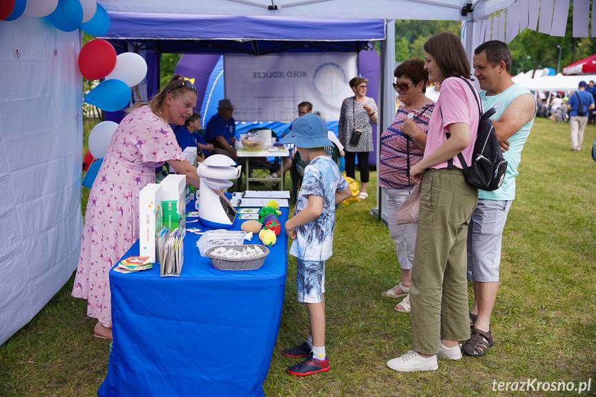Piknik Rodzinny w Rymanowie-Zdroju. Atrakcje dla całej rodziny