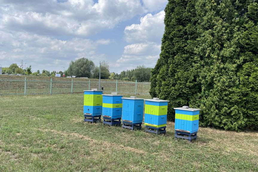 Owadzie apartamenty od Krośnieńskiego Holdingu Komunalnego