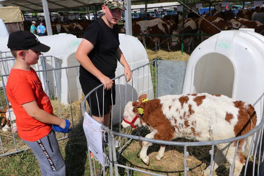 Pożegnanie wakacji. Zaproszenie do Rudawki Rymanowskiej