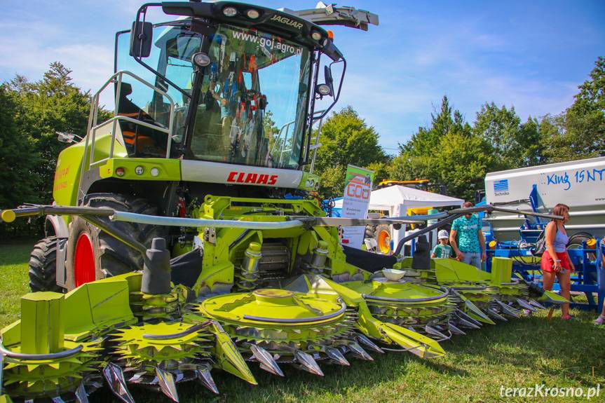 Pożegnanie Wakacji w Rudawce Rymanowskiej. Święto hodowców bydła simentalskiego i koni huculskich [ZDJĘCIA]