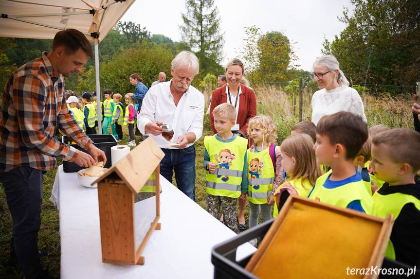 Miejskie miodobranie w Krośnie. Słodka edukacja dla najmłodszych