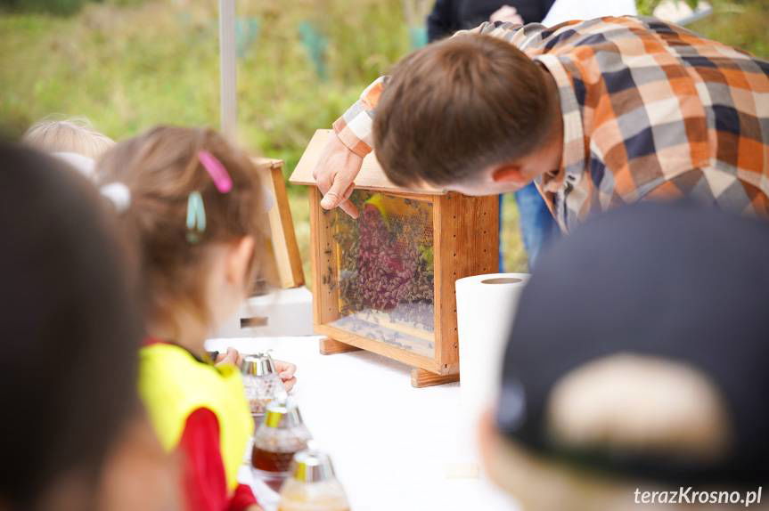 Miejskie miodobranie w Krośnie. Słodka edukacja dla najmłodszych