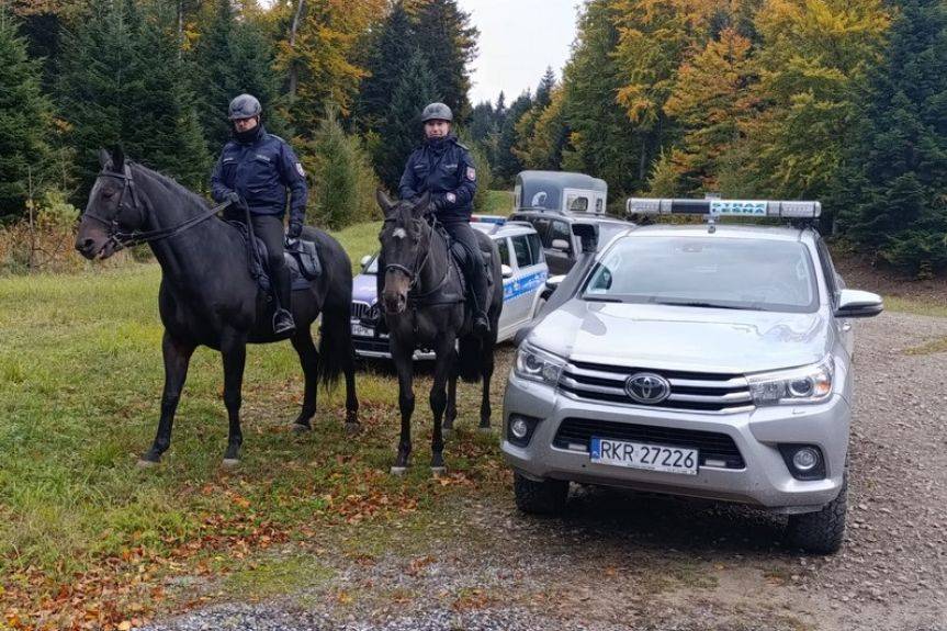 Jeźdźcy w mundurach patrolują lasy