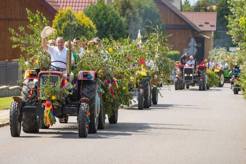 Zagłosuj na Odrzykoń!