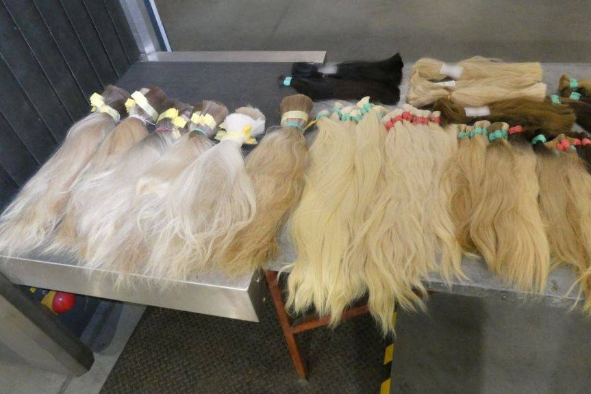 18 kg ludzkich włosów wartych ponad 100 tys. zł