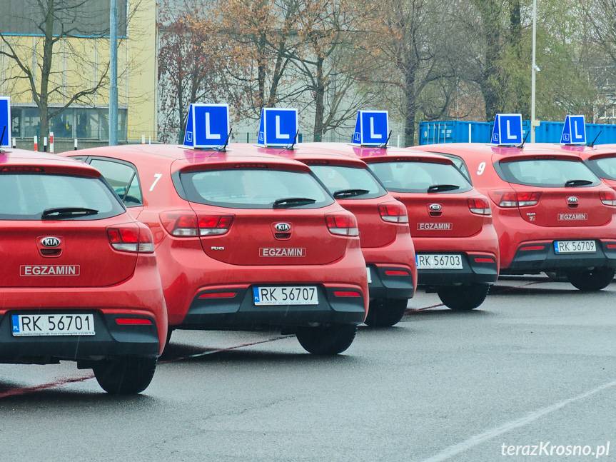 WORD Krosno wstrzyma przeprowadzanie egzaminów praktycznych na prawo jazdy