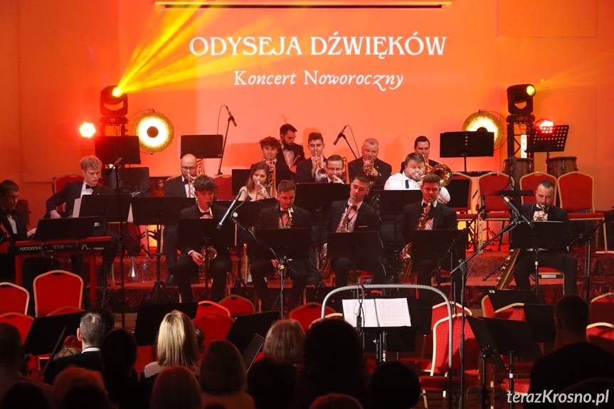 Koncert Odyseja Dźwięków w Rymanowie [ZDJĘCIA]