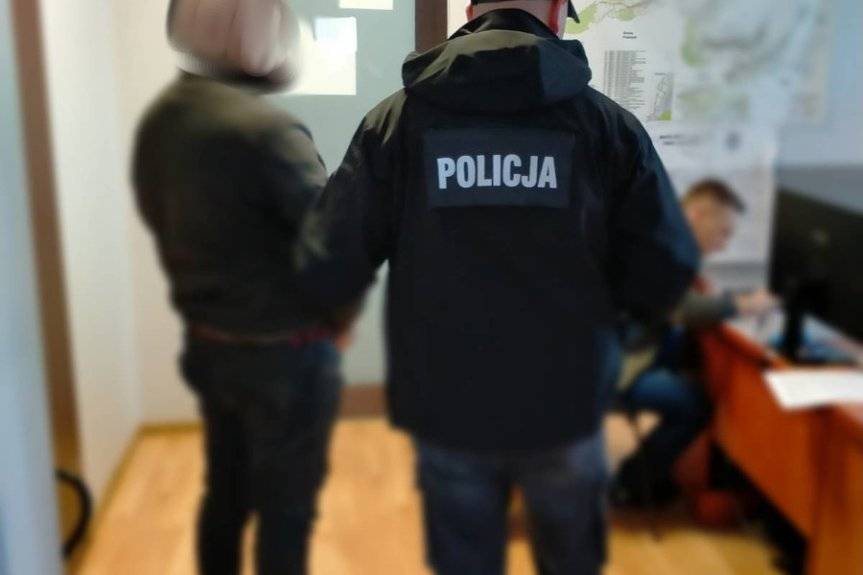 Odpowiedzą za nielegalny wyręb i kradzież drewna z lasu