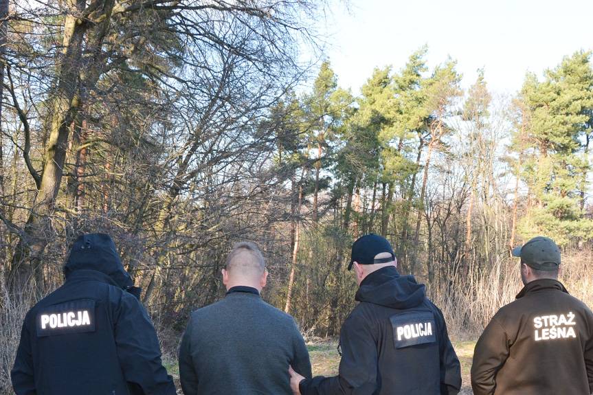 Kradli drewno z lasów państwowych i gminnych. Grozi im 5 lat