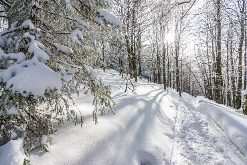 Obszary chronionego krajobrazu na Podkarpaciu. Także w powiecie krośnieńskim