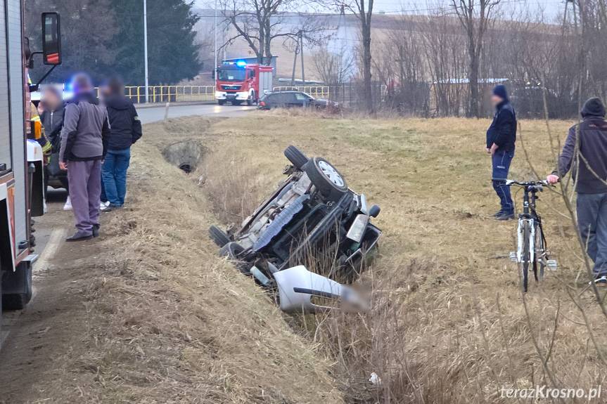 Dachowanie skody we Wróbliku Królewskim