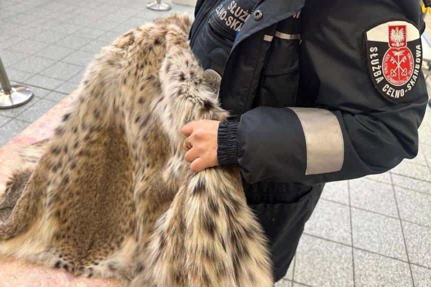 Nielegalne futro warte 33 tys. zł przechwycone na granicy