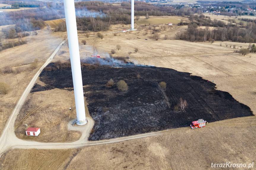 Płonące łąki i pastwiska. Strażacy gasili ponad 250 pożarów w weekend