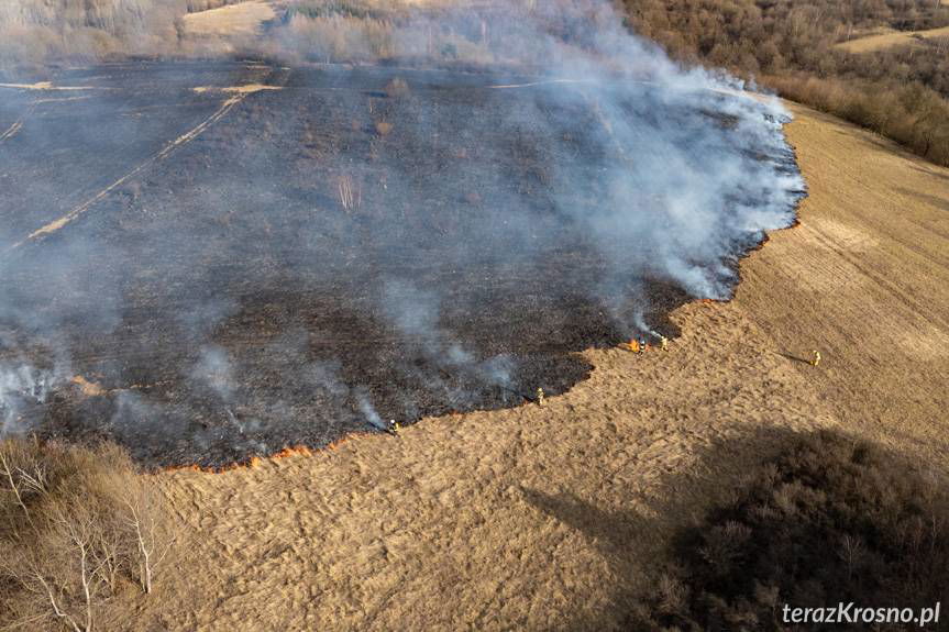 Płonące łąki i pastwiska. Strażacy gasili ponad 250 pożarów w weekend