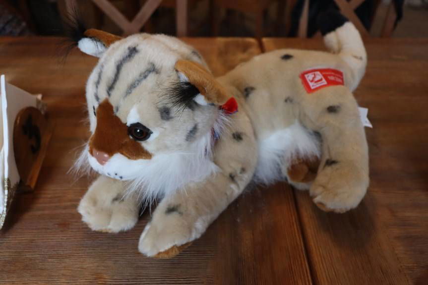 Marka MADE IN KARPATY powraca