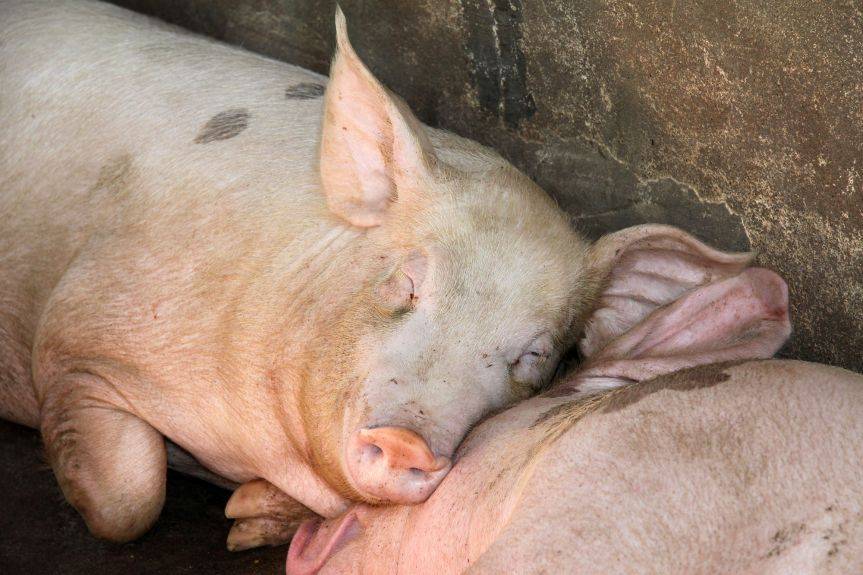 Służby ostrzegają - reaguj natychmiast