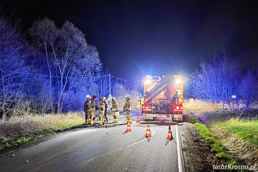Groźne zderzenie z sarną. Motocyklista i pasażer ranni