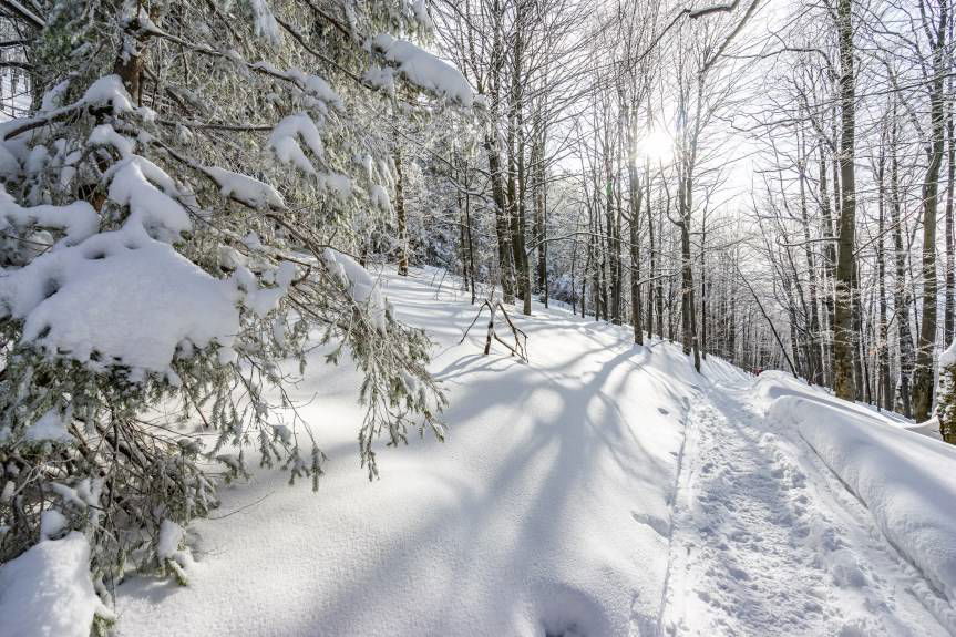 Obszary chronionego krajobrazu także w powiecie krośnieńskim. Umowa na dokumentację podpisana