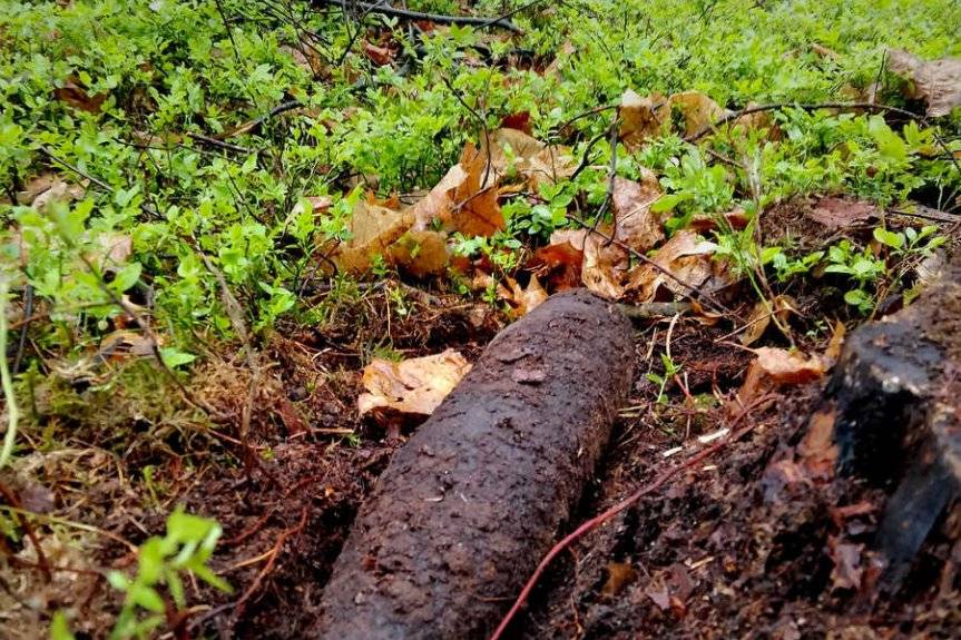 Policjanci zabezpieczali miejsce odnalezienia niewybuchu w Zdżarach