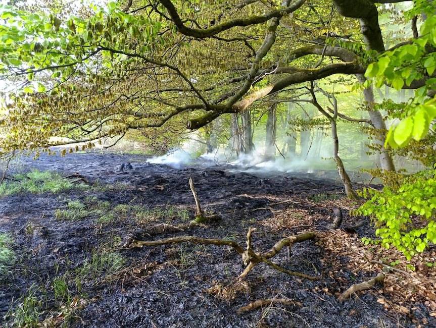 Walka z ogniem na granicy. Leśnicy ujawniają szczegóły