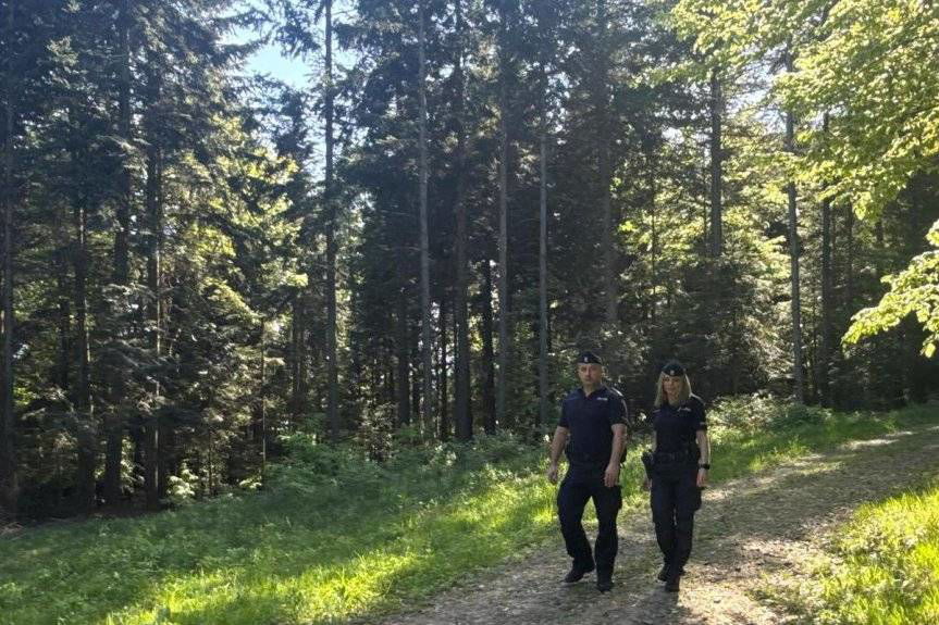 Policjanci biorą udział w działaniach "Chroń życie i las"