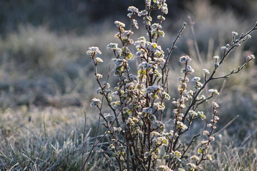Kolejne ostrzeżenie dla powiatu krośnieńskiego