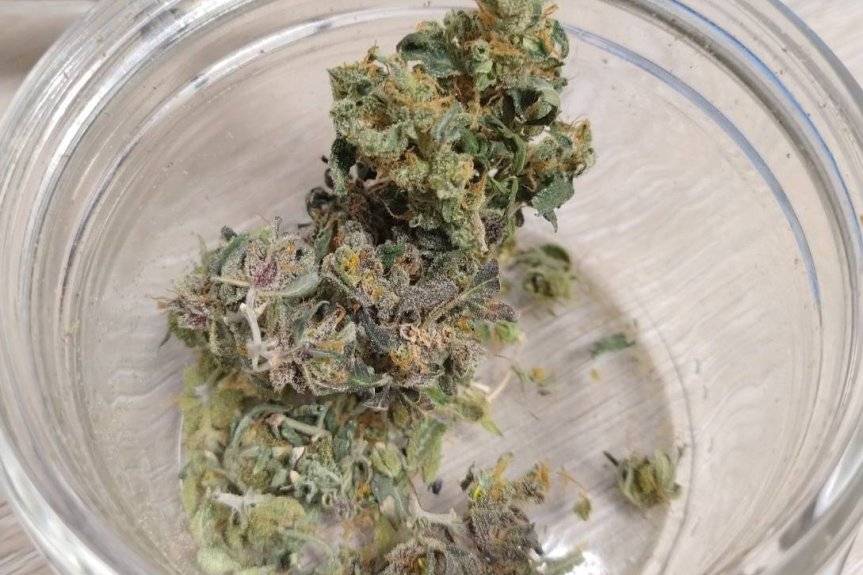 Kierowca BMW zatrzymany z mefedronem i marihuaną