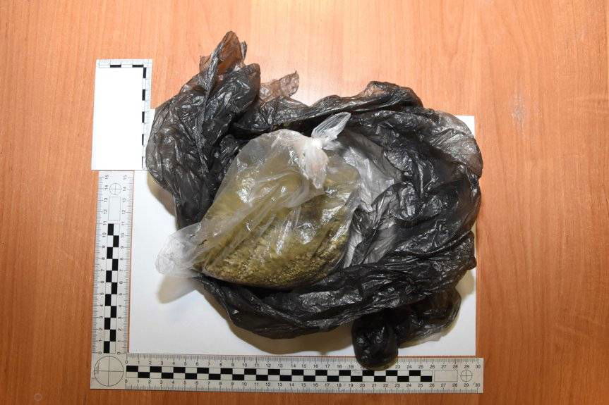 Areszt tymczasowy za posiadanie i udzielanie narkotyków