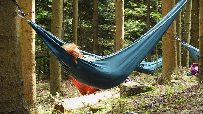 Kąpiele leśne w Rymanowie-Zdroju