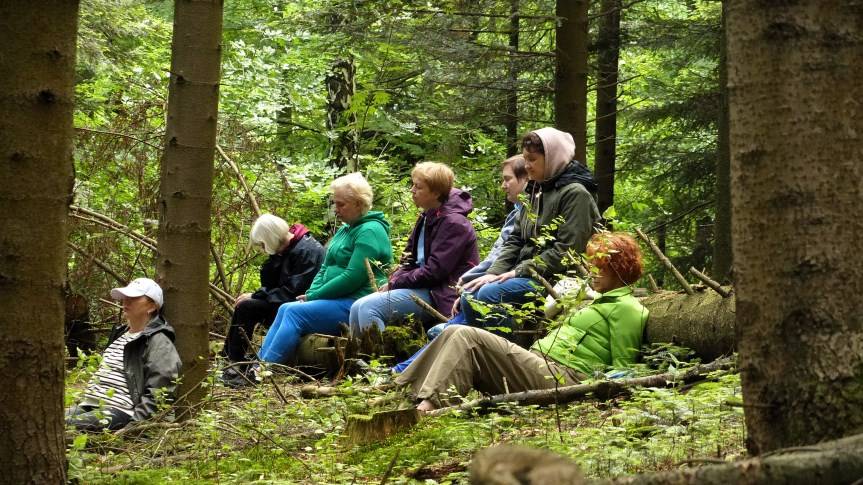 Kąpiele leśne w Rymanowie-Zdroju